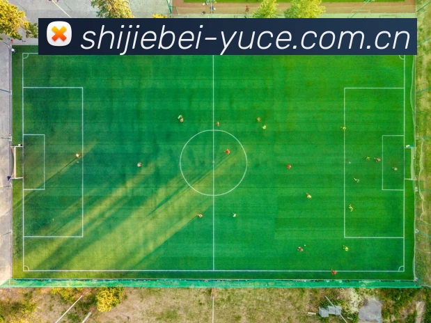 APP界面展示